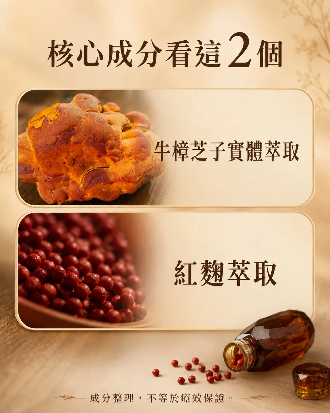 牛樟芝晶萃核心成分牛樟芝子實體萃取與紅麴萃取整理