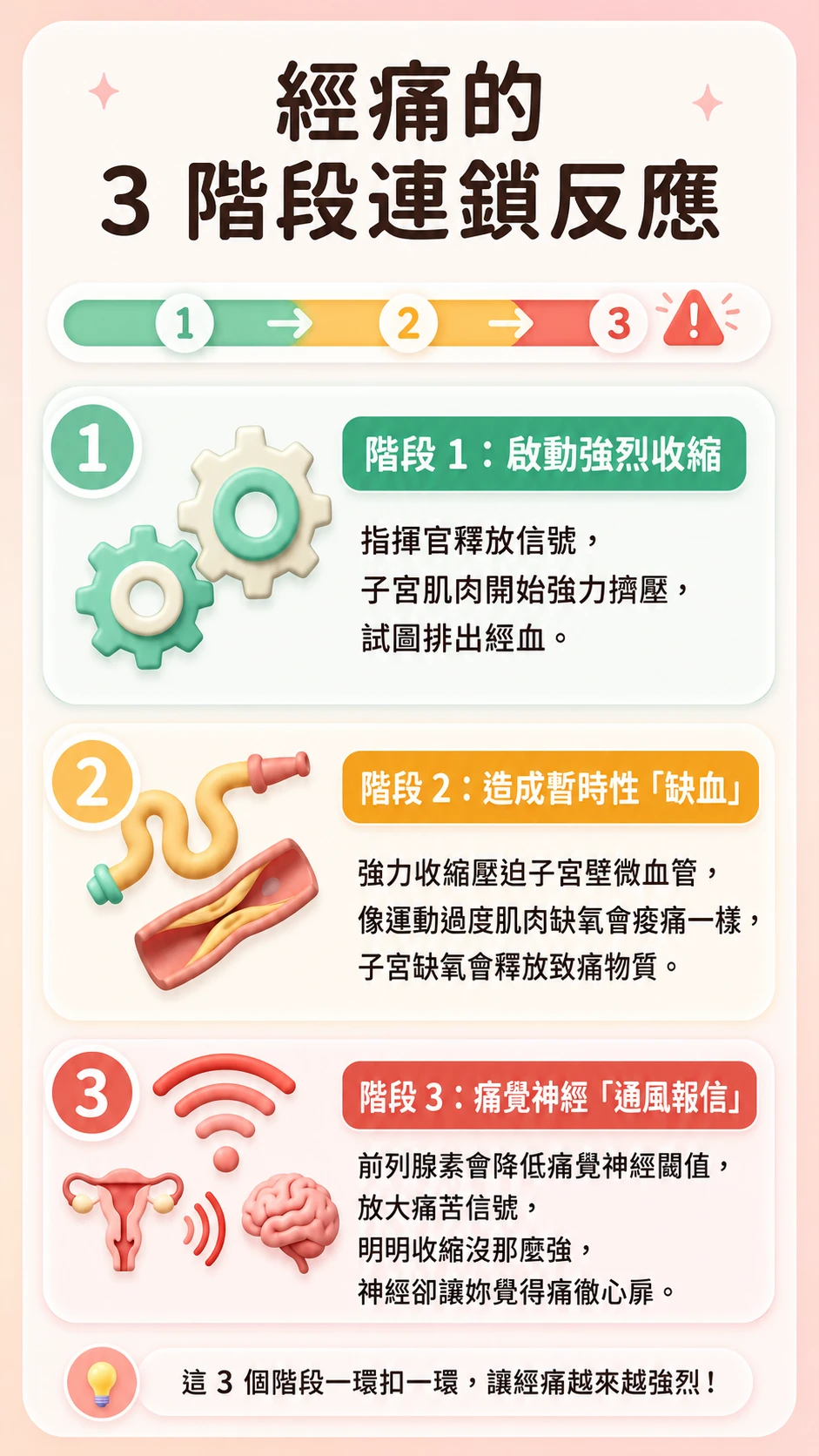 經痛機制圖解，整理子宮收縮與痛覺訊號，幫助理解經痛原因。