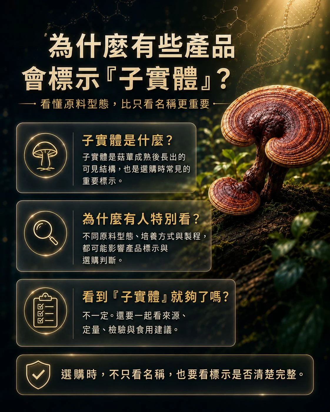 子實體標示說明,整理菇蕈原料生長期、取得門檻、成分含量與檢驗定量判讀重點。