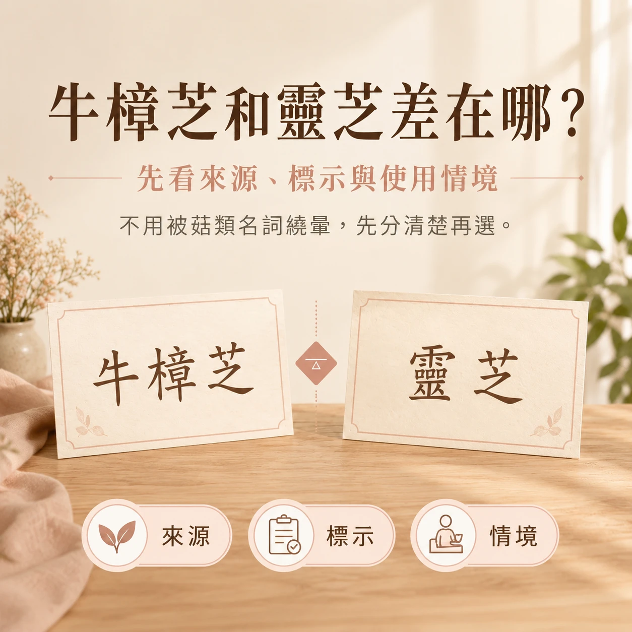 牛樟芝和靈芝差在哪？來源、成分、挑選重點比較